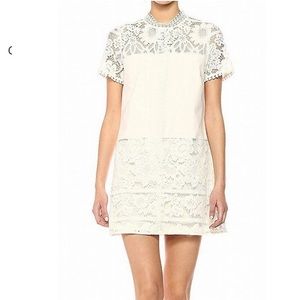 NWT! Kenzie cream lace short sleeve shift dress